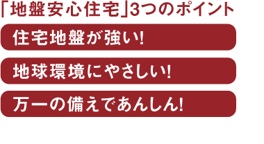 地盤安心住宅3つのポイント　1地盤が強い　2地球環境にやさしい　3万一の備えで安心
